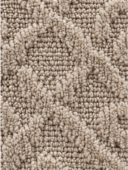 Illustrative cut & loop carpet texture